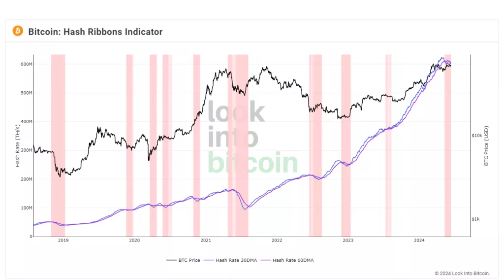 Look-Into-Bitcoin-Hash-Ribbons-Indicator